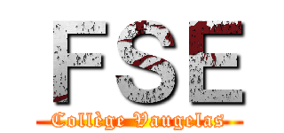 ＦＳＥ (Collège Vaugelas)