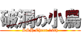 破洞の小鳥 (SSH Cheer 16th)