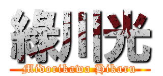 綠川光 (Midorikawa Hikaru)