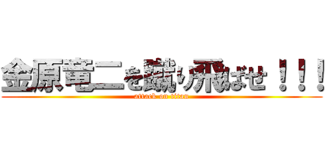 金原竜二を蹴り飛ばせ！！！ (attack on titan)