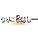 うりこ＆はしー (uri hashi)