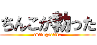 ちんこが勃った (tnikogatatta)