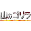 山のゴリラ (uho!?)