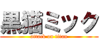 黒猫ミック (attack on titan)