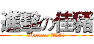 進擊の佳豬 (attack on PIG!)