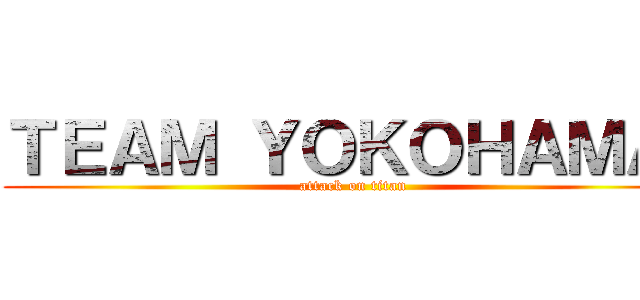 ＴＥＡＭ ＹＯＫＯＨＡＭＡ  (attack on titan)