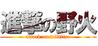 進撃の野火 (attack on wildfire)