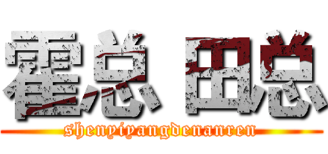 霍总 田总 (shenyiyangdenanren)