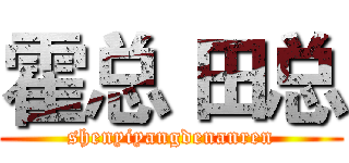 霍总 田总 (shenyiyangdenanren)