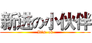 新进の小伙伴 (It's  ok)