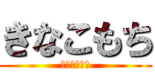 きなこもち (自称イケメン)