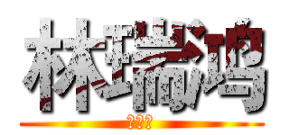 林瑞鸿 (林瑞鸿)