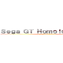 Ｓｅｇａ ＧＴ Ｈｏｍｏｌｏｇａｔｉｏｎ (sega gt homologation)