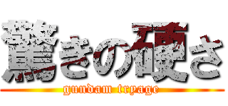 驚きの硬さ (gundam tryage)