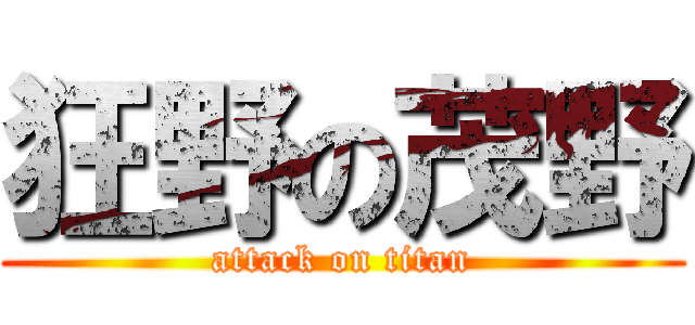 狂野の茂野 (attack on titan)