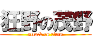 狂野の茂野 (attack on titan)