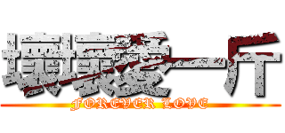 壞壞愛一斤 (FOREVER LOVE)