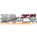 臺灣の芒果 (Mango from TAIWAN)