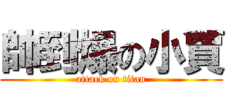 帥到爆の小賈 (attack on titan)