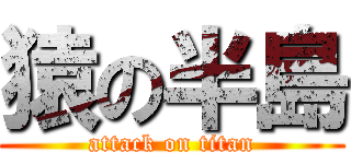 猿の半島 (attack on titan)