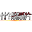 什么媽媽片 (别墅奧爾良)