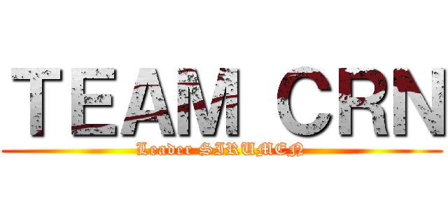 ＴＥＡＭ ＣＲＮ (Leader SIRUMEN)