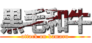 黒毛和牛 (attack on kamaru)