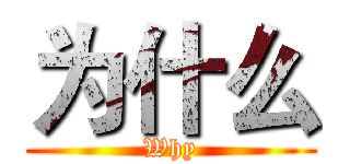 为什么 (Why)