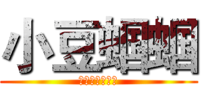 小豆蝈蝈 (那年那兔那些事)