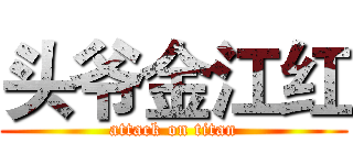 头爷金江红 (attack on titan)