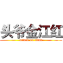 头爷金江红 (attack on titan)