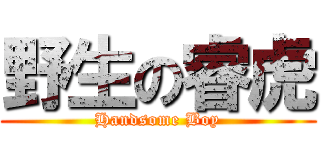 野生の睿虎 (Handsome Boy)