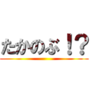 たかのぶ！？ ()