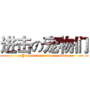 进击の宠物们 (Yoooooooooooooooooo!)