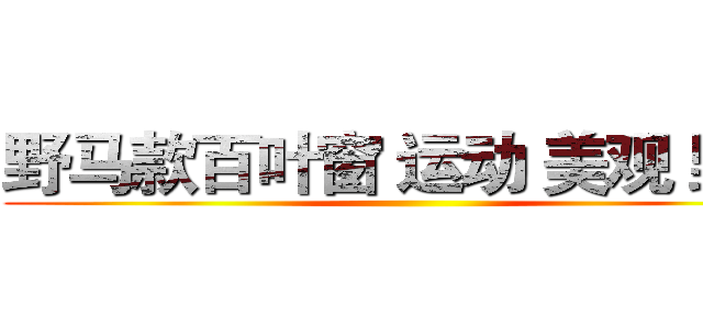 野马款百叶窗 运动 美观 野性 ()