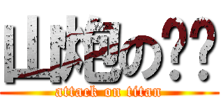 山炮の沉沉 (attack on titan)