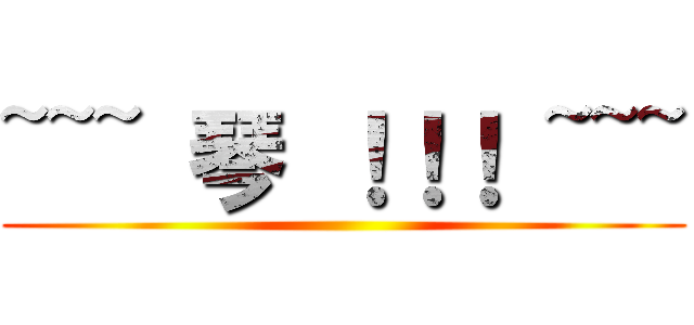 ~~~ 琴 ！！！ ~~~ ()