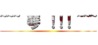 ~~~ 琴 ！！！ ~~~ ()