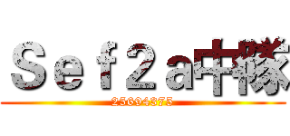 Ｓｅｆ２ａ中隊 (25694375)