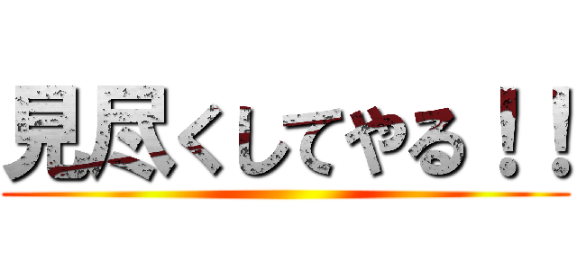見尽くしてやる！！ ()