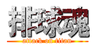 排球魂 (attack on titan)