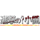 進撃の氻小楓 (attack on titan)