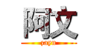 阿文 (zayn)