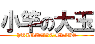 小竿の大玉 (PRIMITIVE TRIBE)