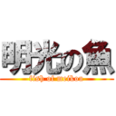 明光の魚 (fish of meikou)