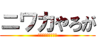 ニワカやろが (シャシャリでんな！)