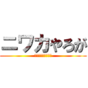 ニワカやろが (シャシャリでんな！)