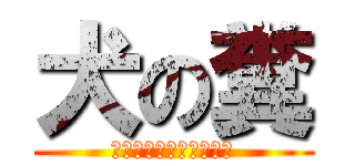 犬の糞 (少なくとも綺麗ではない)