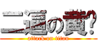 二逼の黄凯 (attack on titan)