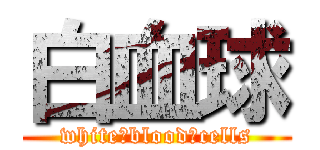 白血球 (white　blood　cells)